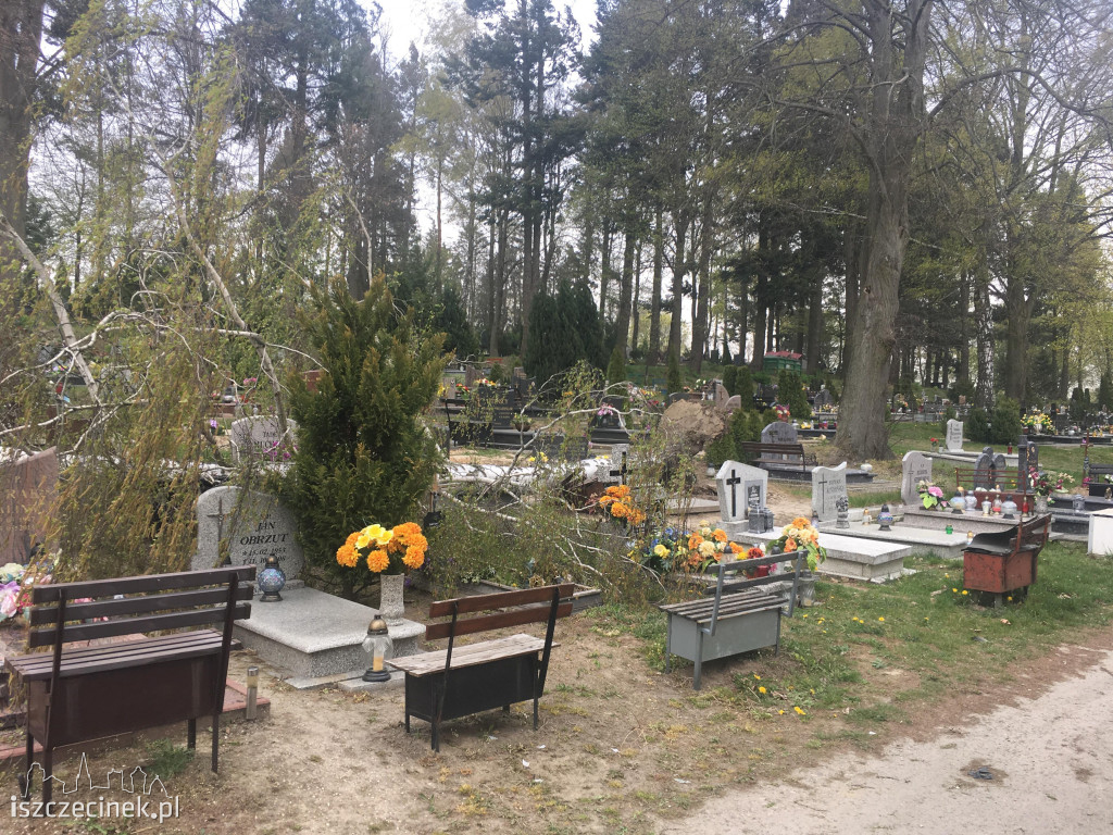 Wiatr powalił drzewo na nagrobki