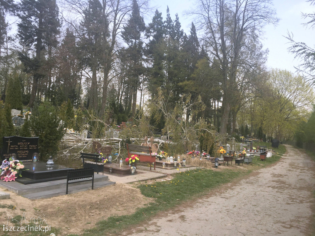 Wiatr powalił drzewo na nagrobki