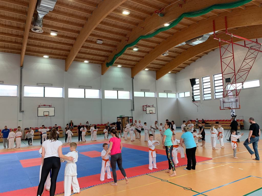 Karate Kyokushin. Rodzice trenowali razem z dziećmi [ZDJĘCIA]