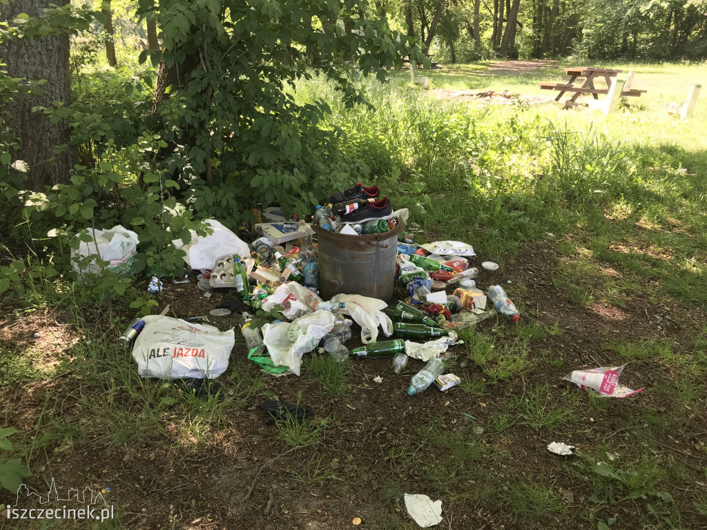 To szpeci nasze otoczenie: miejsce na ognisko nad Trzesieckiem