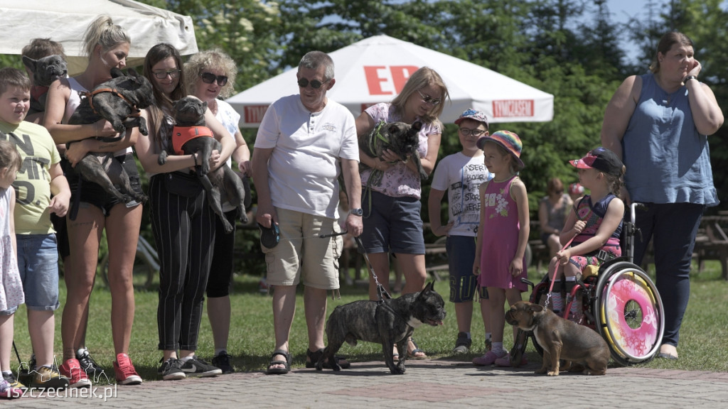 III Szczecinecki Zlot Buldogów Francuskich