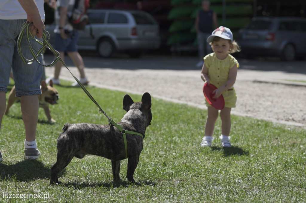 III Szczecinecki Zlot Buldogów Francuskich