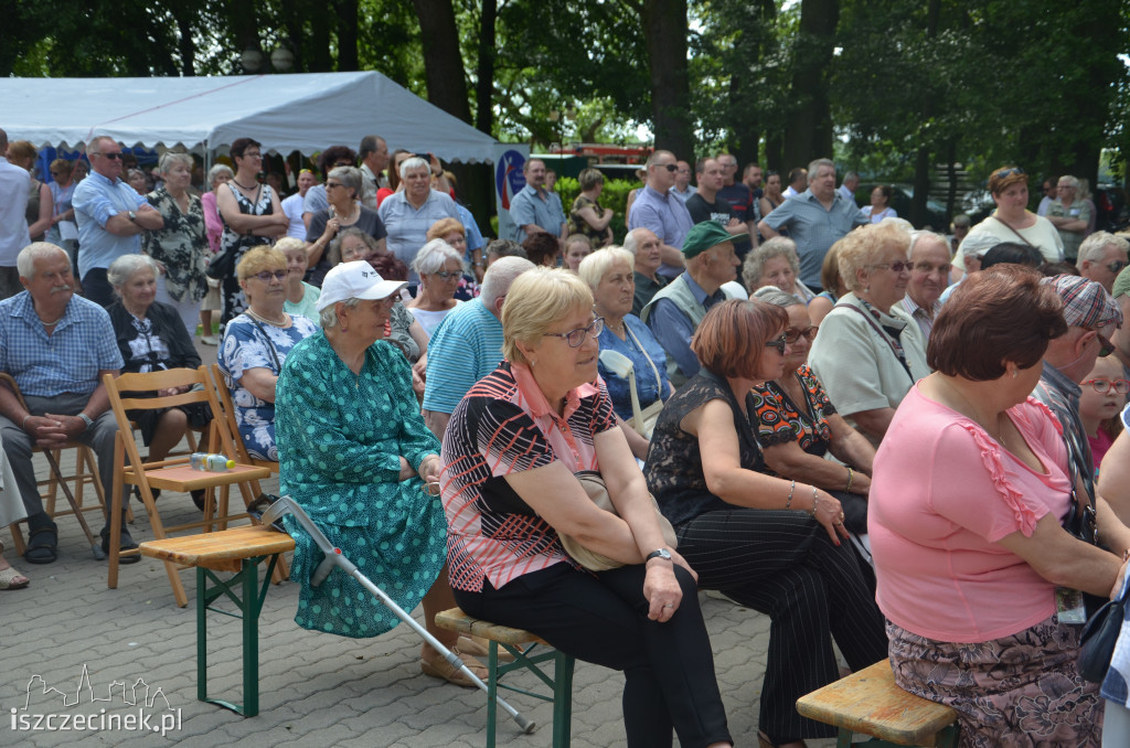 Festyn pozarządowca