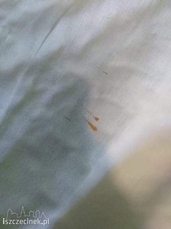 Fatalne warunki dzieci przebywających na kolonii
