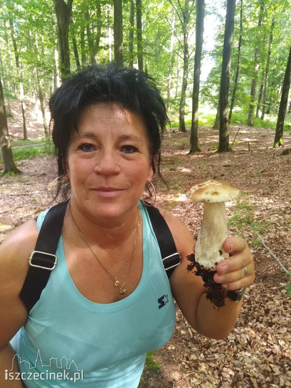 Lasy pełne grzybów. Weekendowe zbiory naszych czytelników