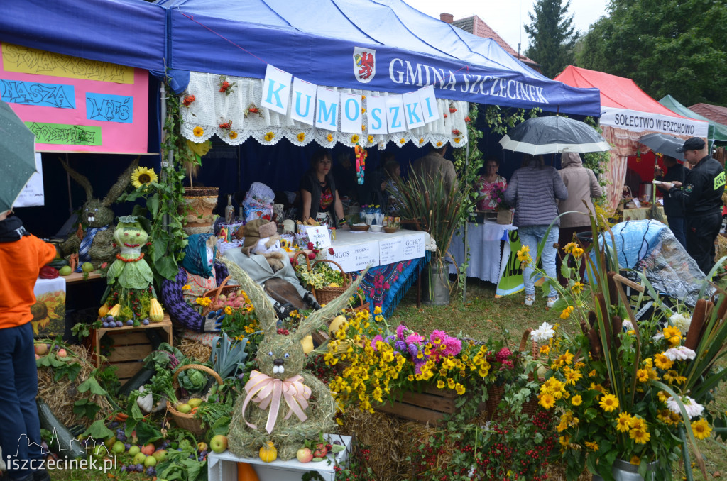 Dożynki Gminne - Turowo 2019
