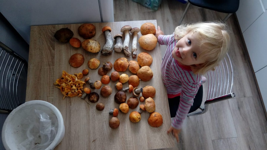 Wysyp grzybów w lasach. Zdjęcia Czytelników