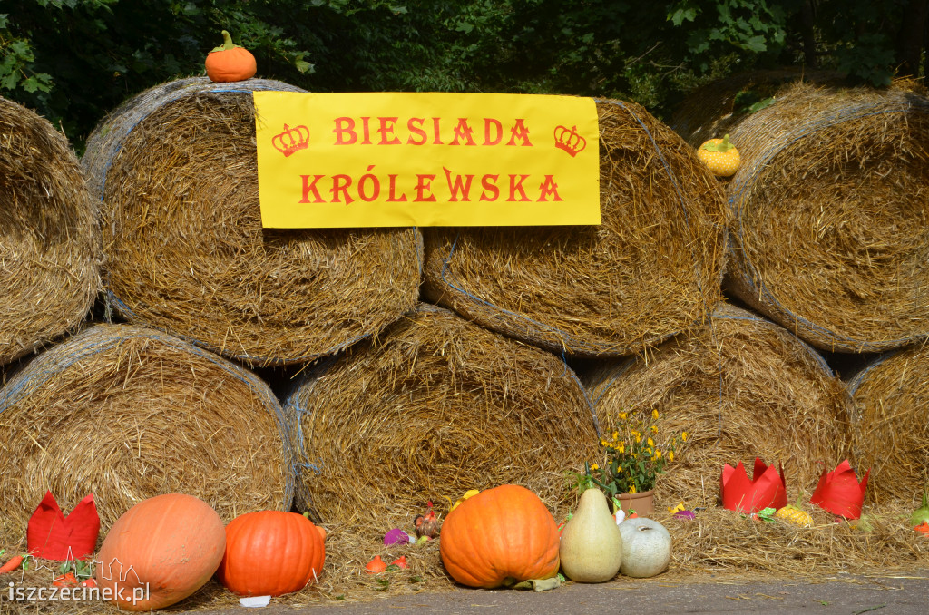 Radacz bawił się po królewsku