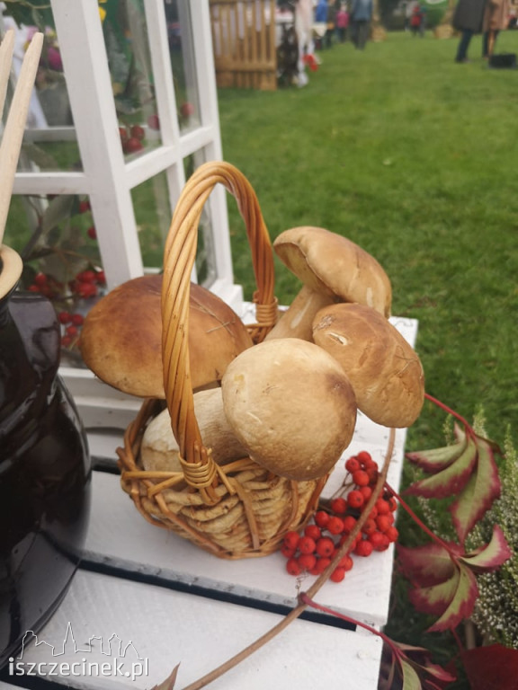 Powiatowe Święto Plonów w Barwicach