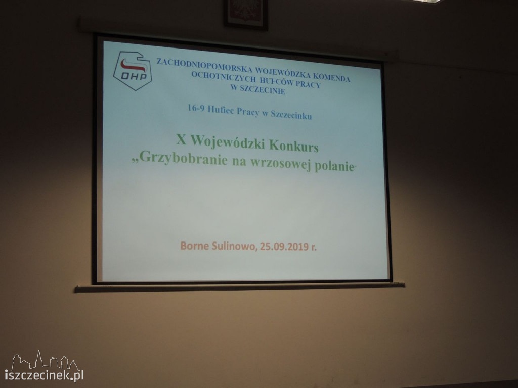 Grzybobranie na wrzosowej polanie po raz dziesiąty