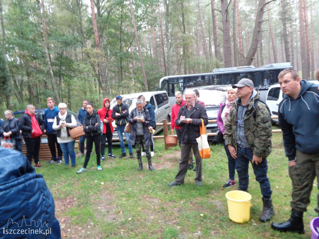 Grzybobranie na wrzosowej polanie po raz dziesiąty