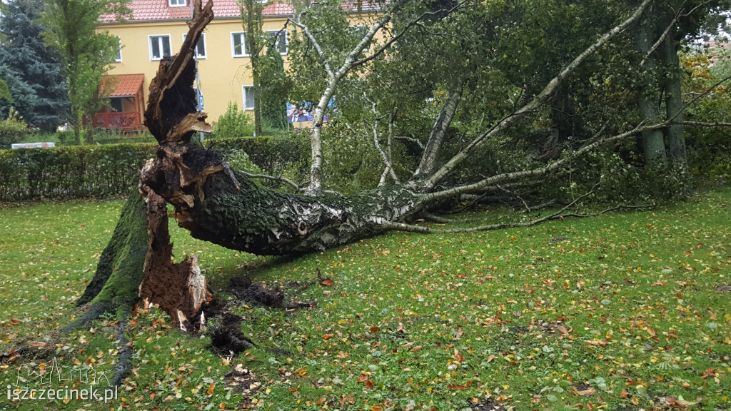 Wichura w Szczecinku i okolicach.