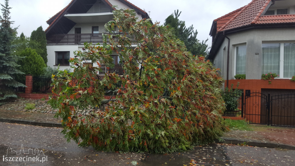 Wichura w Szczecinku i okolicach.