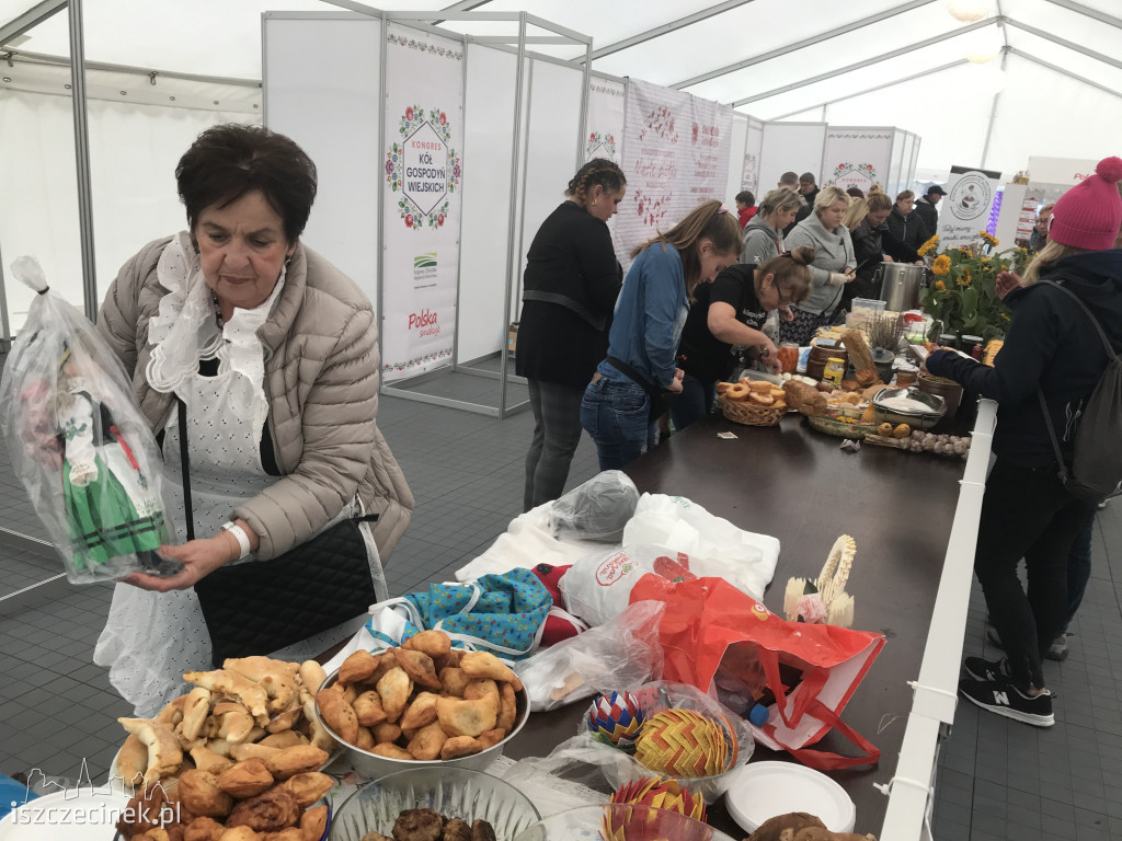 Zawody Jeździeckie w Białym Borze