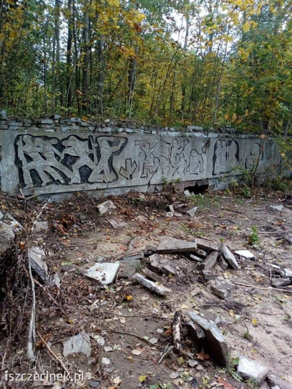 Wrzosy i silosy, czyli rajd historyczny po okolicy