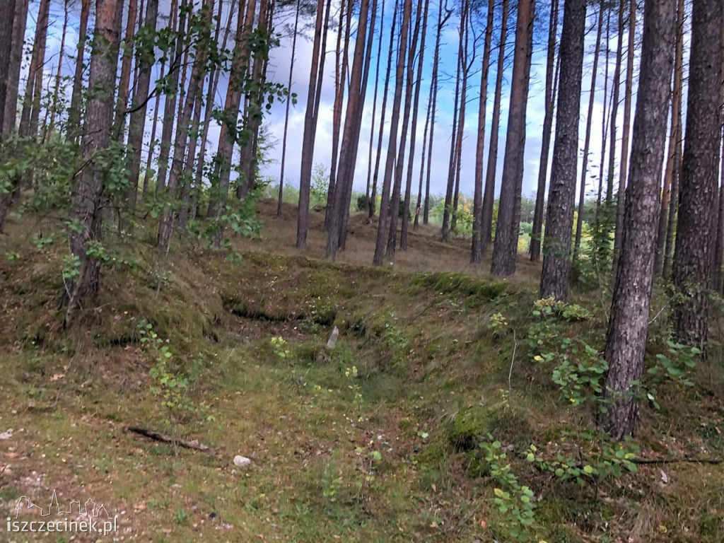 Wrzosy i silosy, czyli rajd historyczny po okolicy