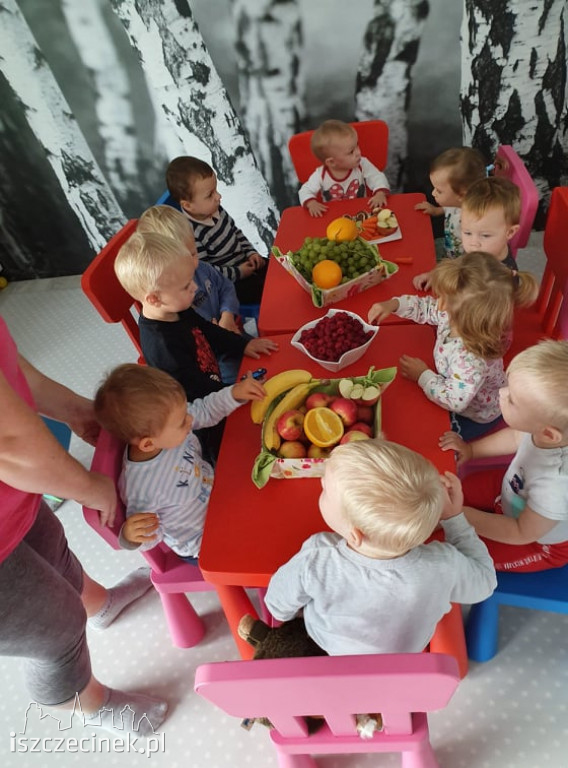 Wolne miejsca w żłobku - Trzesieka, Szczecinek