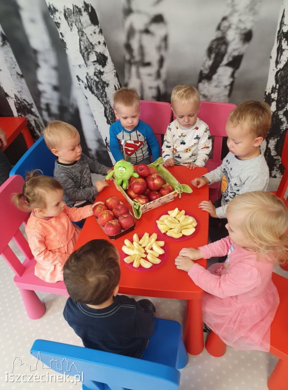 Wolne miejsca w żłobku - Trzesieka, Szczecinek
