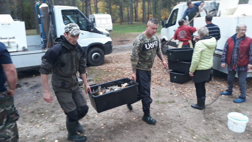 Zalewy Nadarzyckie ponownie zarybione. Wpuszczono ponad 2 tony ryb