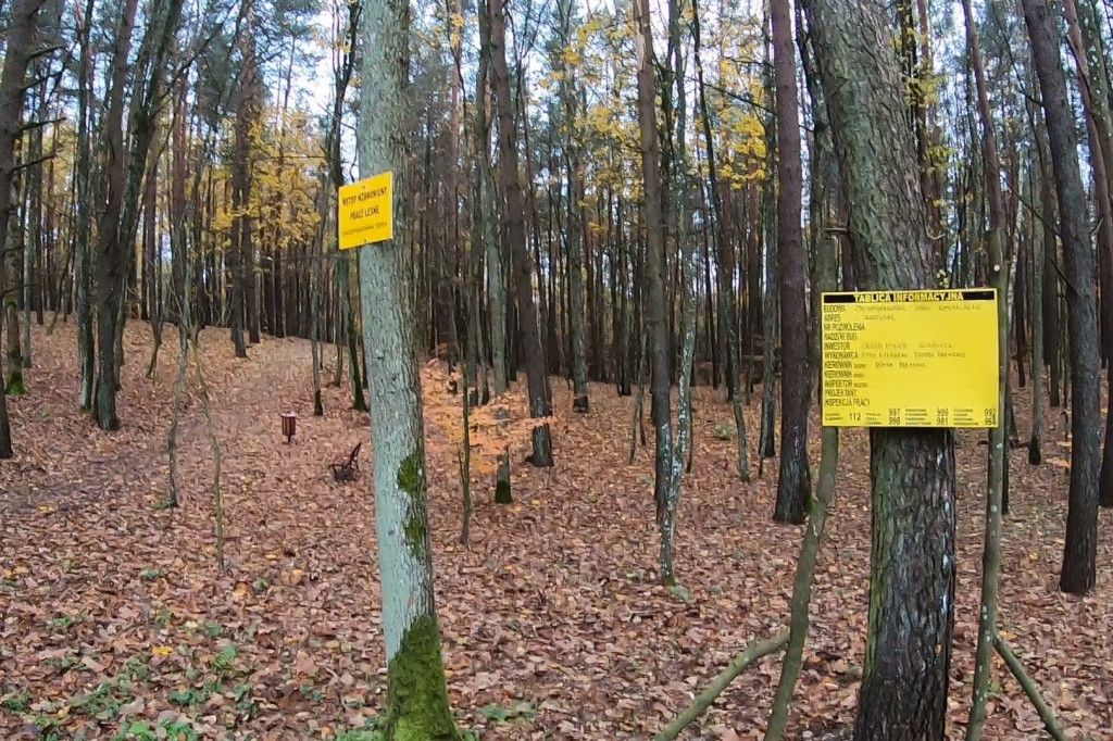 Powiększają park przy Trzesiece