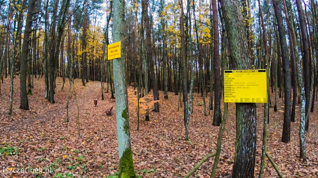 Powiększają park przy Trzesiece