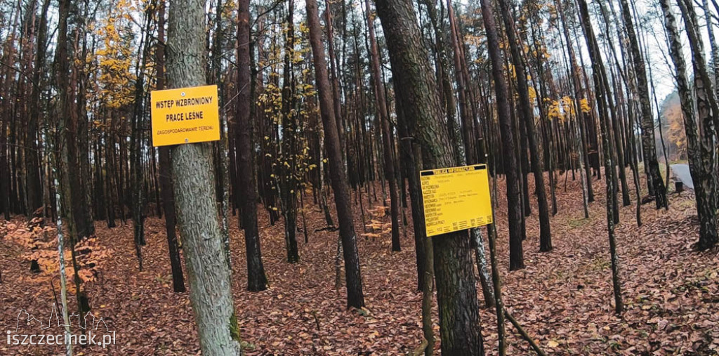 Powiększają park przy Trzesiece