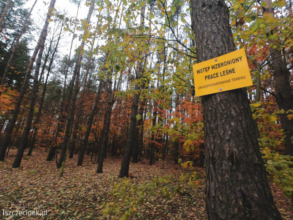 Powiększają park przy Trzesiece