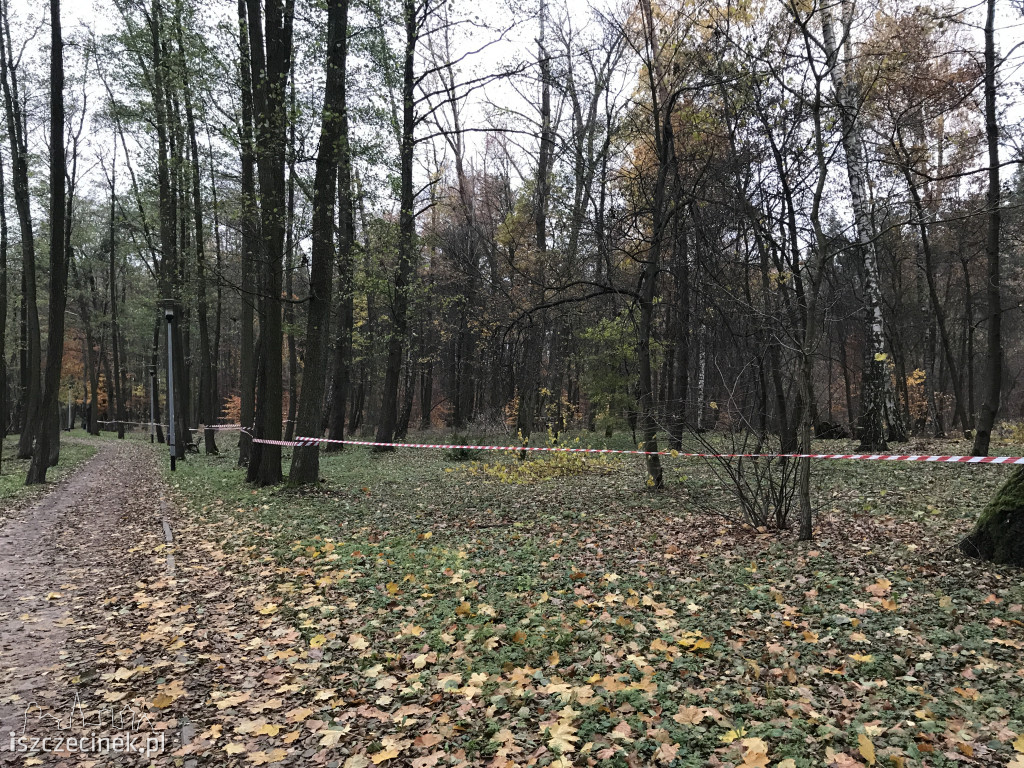 Powiększają park przy Trzesiece