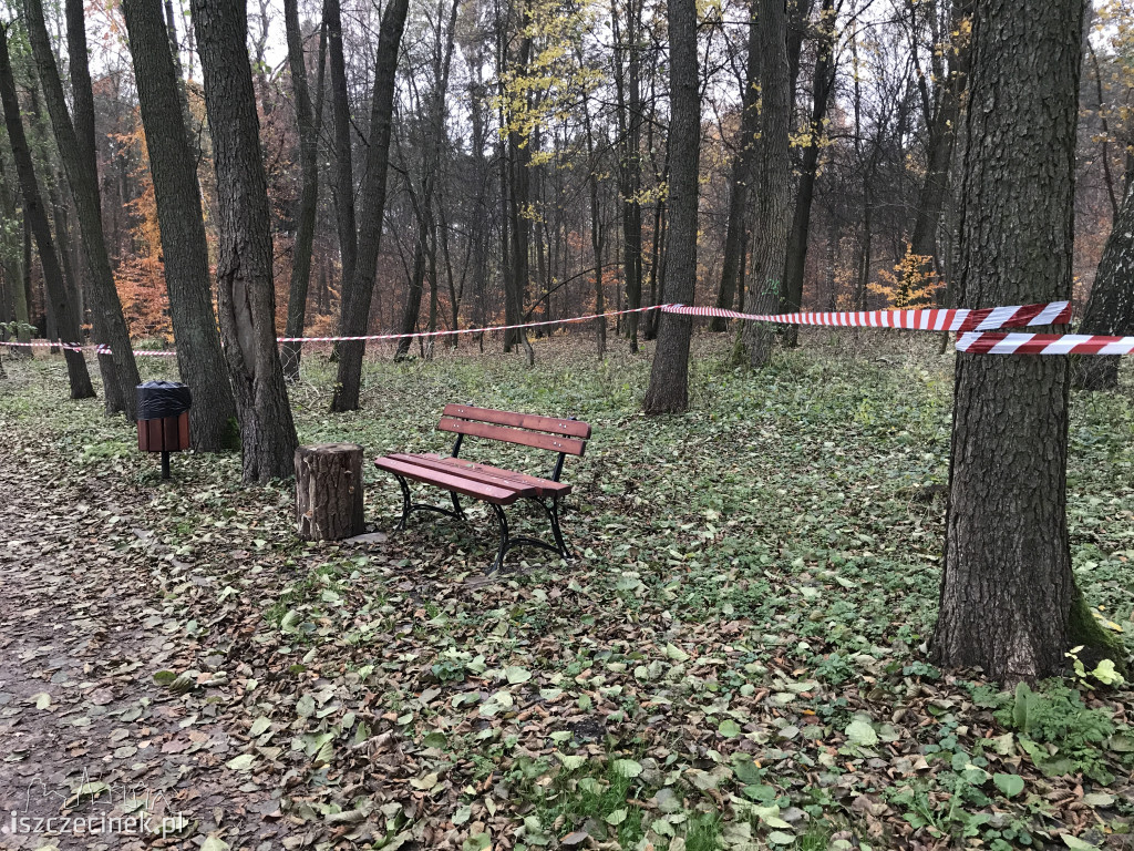 Powiększają park przy Trzesiece