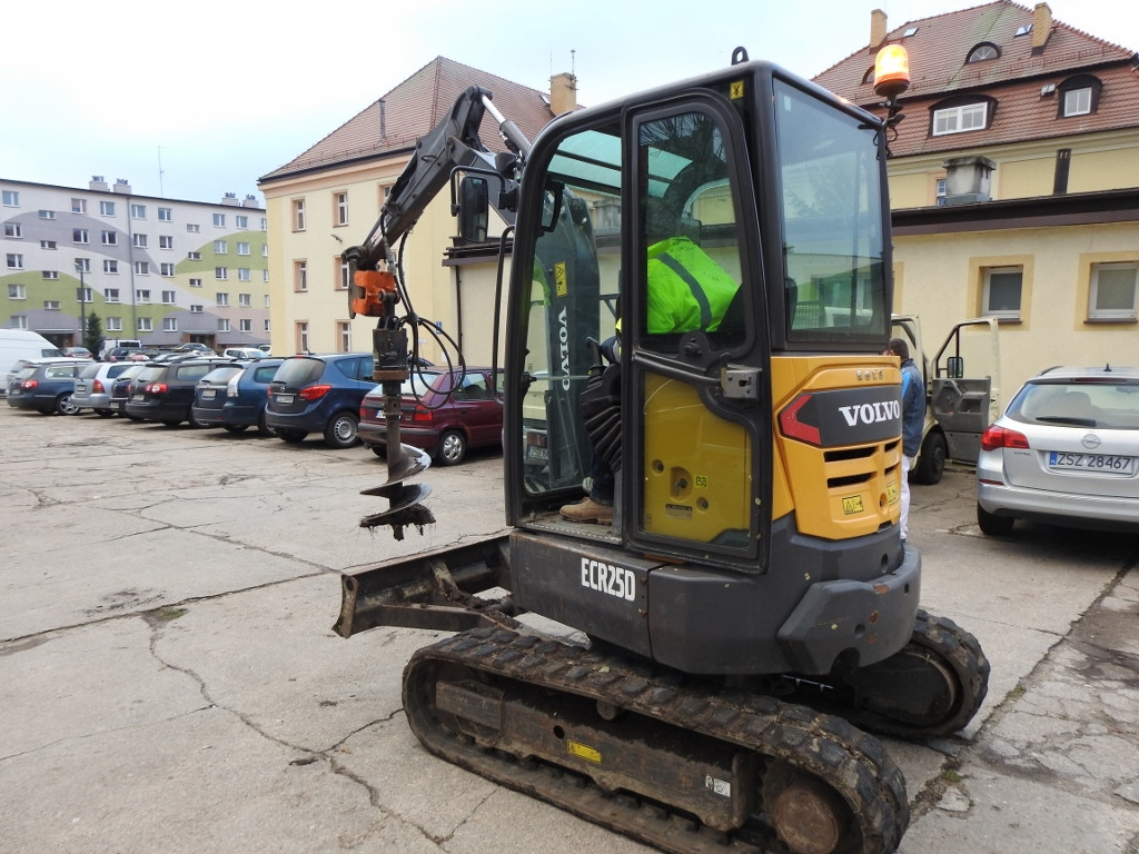 Najpierw wycięli stare drzewka, teraz sadzą nowe