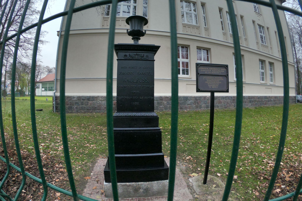 Pomnik Jana Samuela Kaulfussa