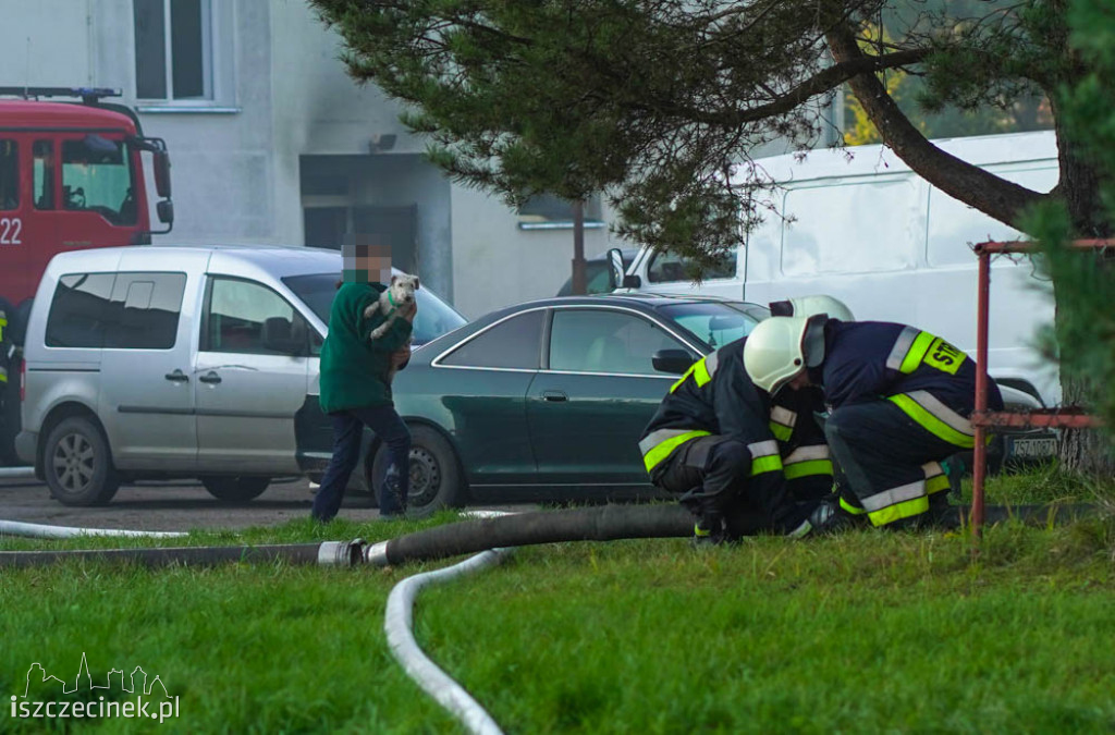 Pożar dużej piekarni przy ul. Pilskiej