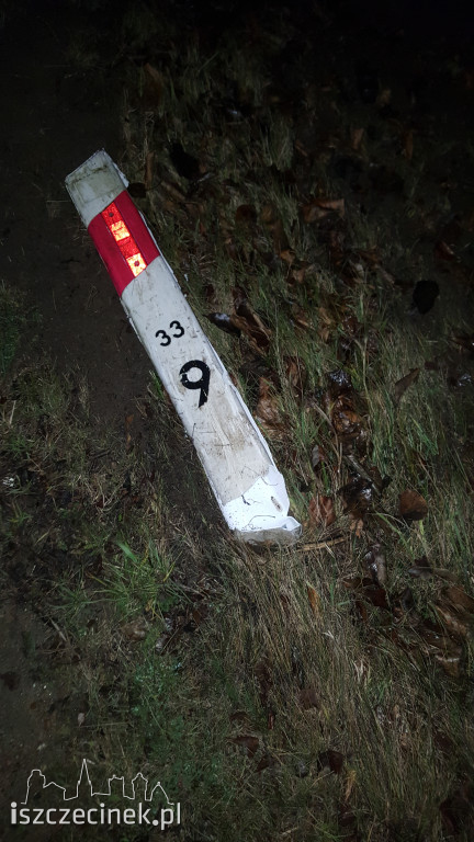 Opel zderzył się z sarną pod Szczecinkiem