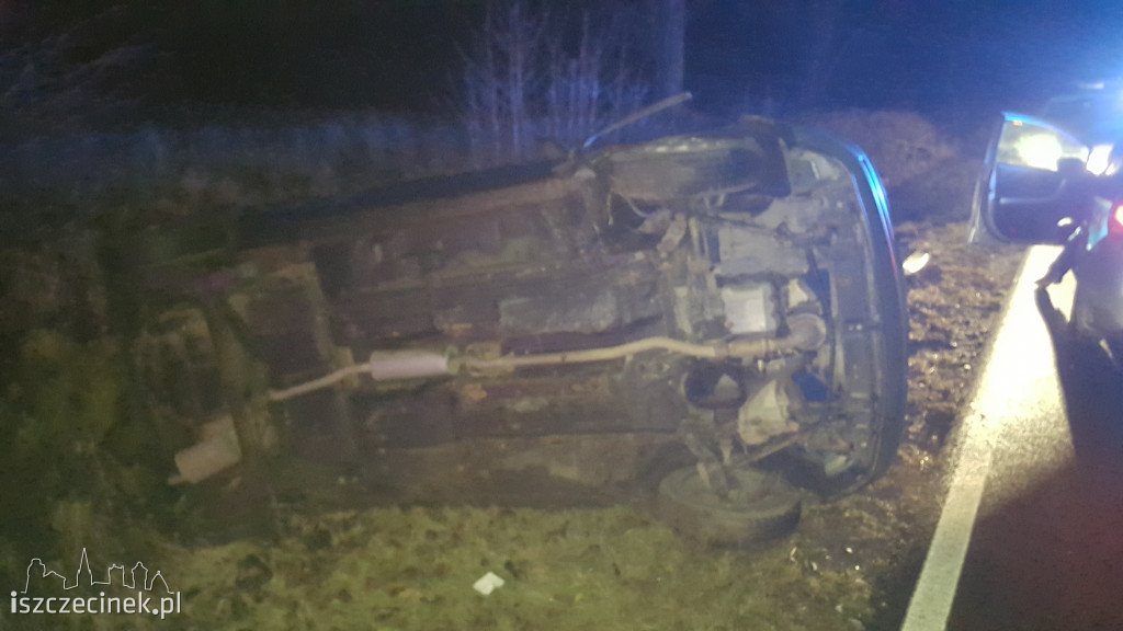 Opel zderzył się z sarną pod Szczecinkiem