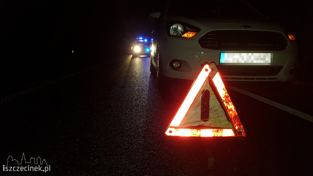 Opel zderzył się z sarną pod Szczecinkiem