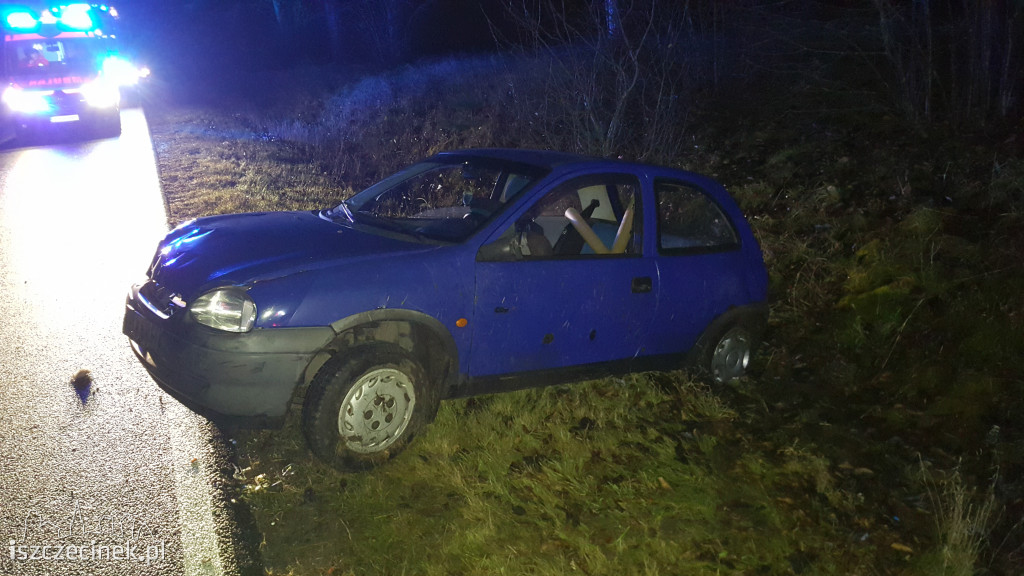 Opel zderzył się z sarną pod Szczecinkiem