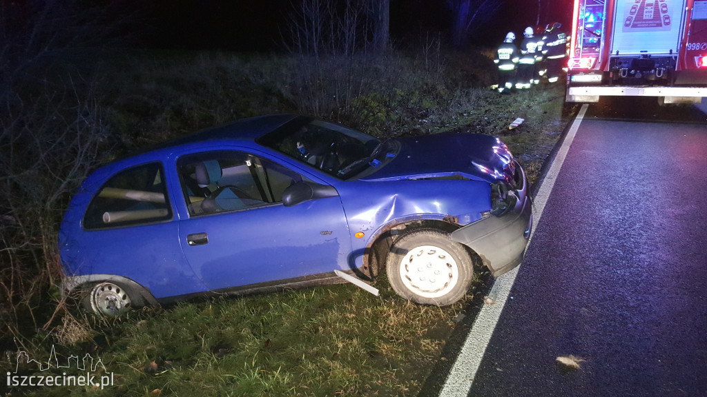 Opel zderzył się z sarną pod Szczecinkiem