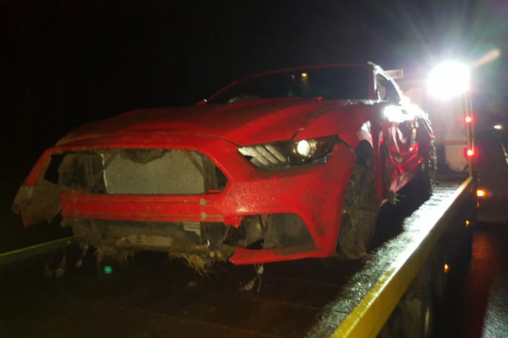 Kolejne zderzenie ze zwierzyną. Dachował ford mustang