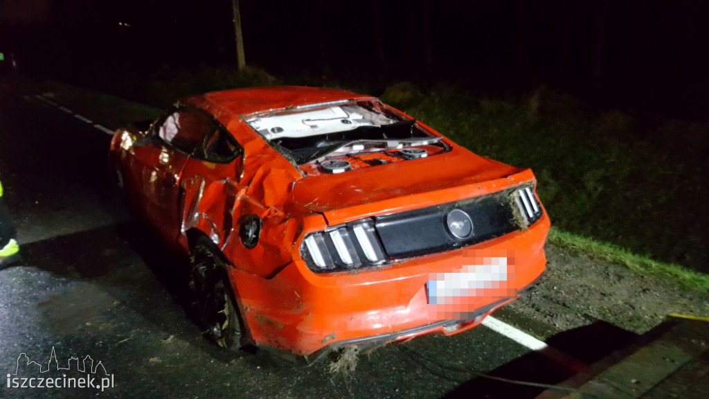 Kolejne zderzenie ze zwierzyną. Dachował ford mustang