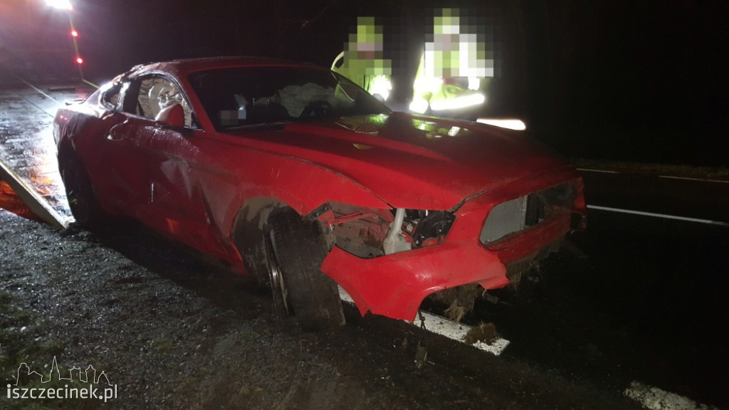 Kolejne zderzenie ze zwierzyną. Dachował ford mustang