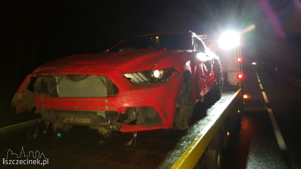 Kolejne zderzenie ze zwierzyną. Dachował ford mustang