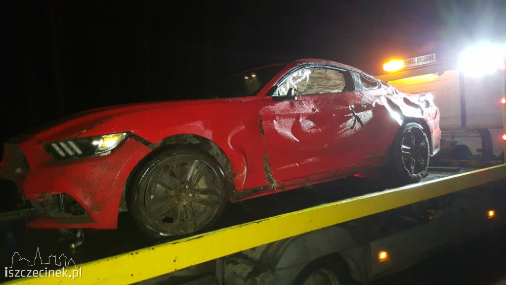 Kolejne zderzenie ze zwierzyną. Dachował ford mustang