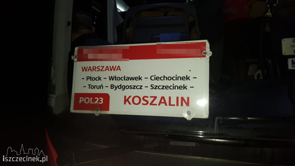 Kierowcy noga z gazu. Dzikie zwierzęta na drodze