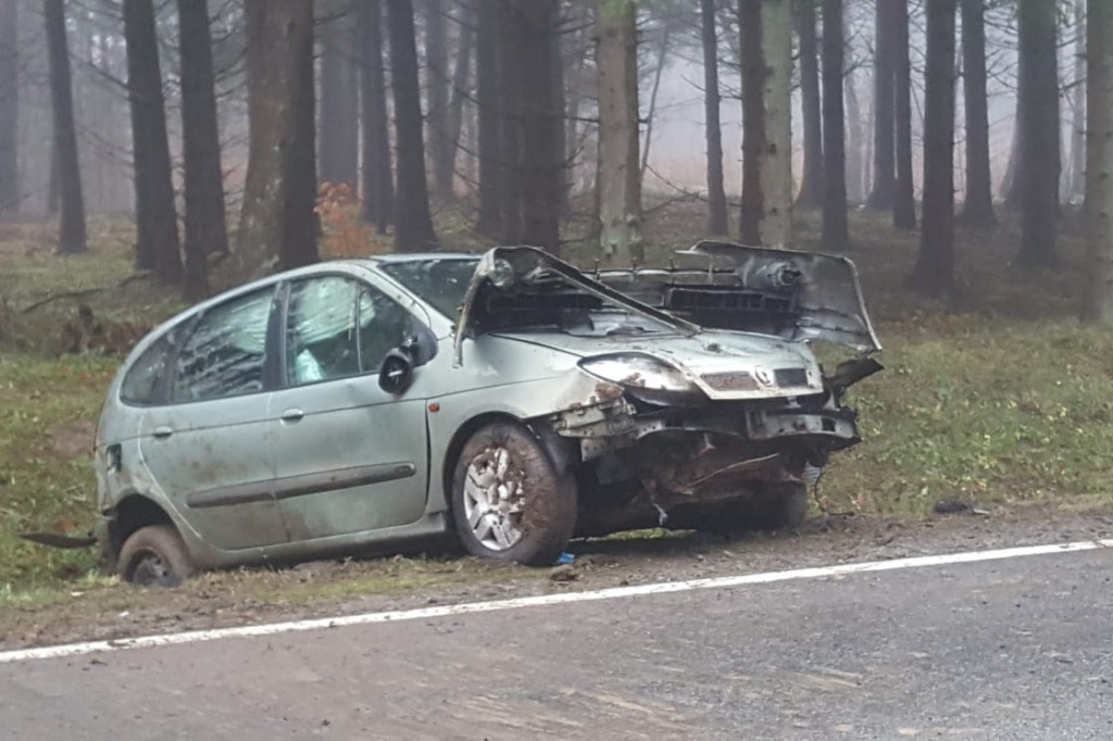 Chciał ominąć zwierzynę, wjechał do rowu i dachował