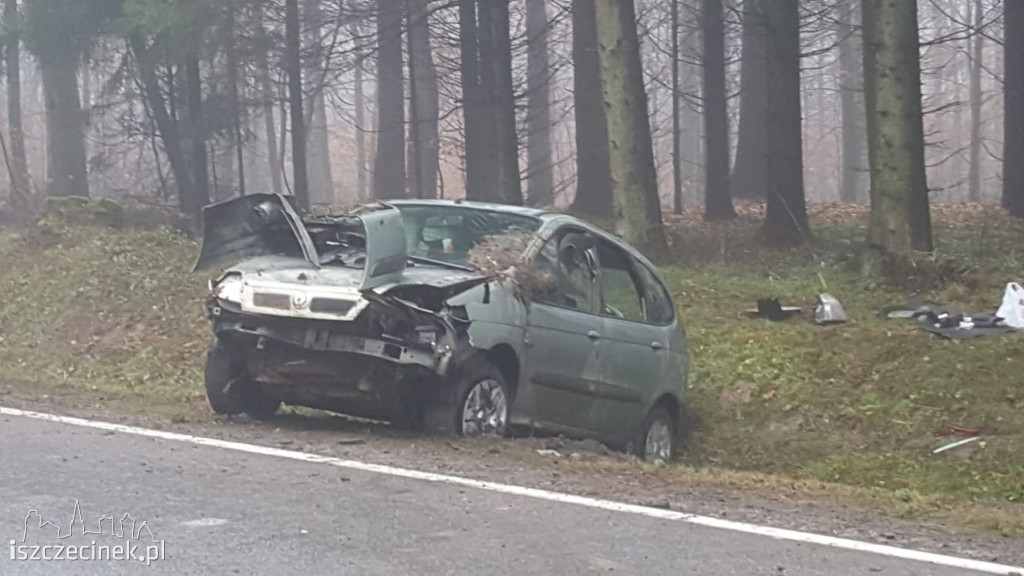 Chciał ominąć zwierzynę, wjechał do rowu i dachował