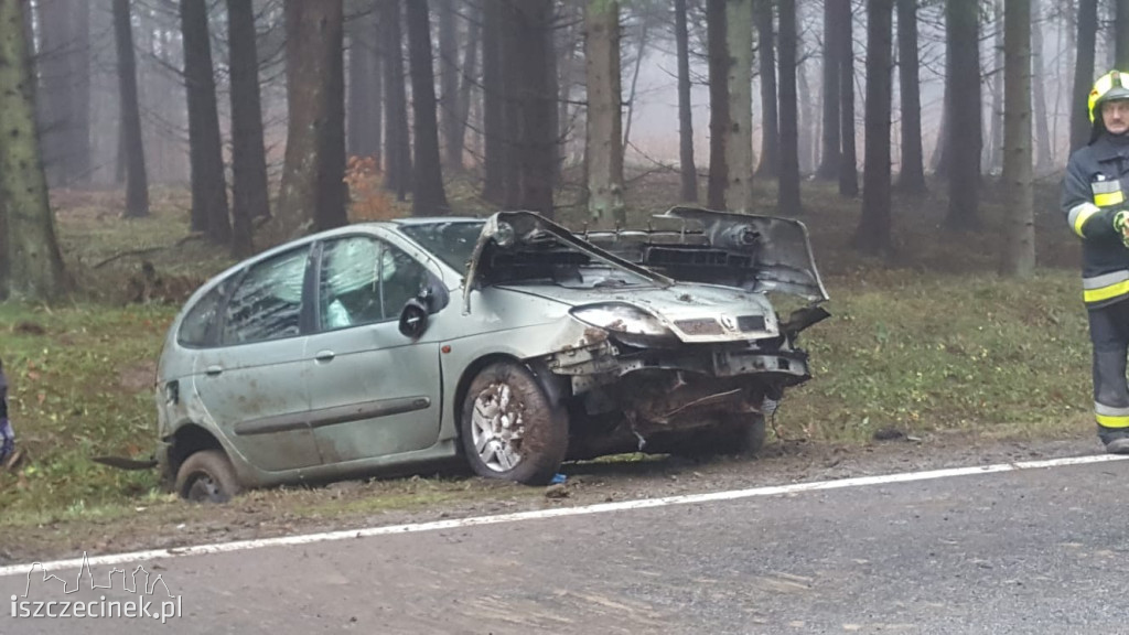 Chciał ominąć zwierzynę, wjechał do rowu i dachował