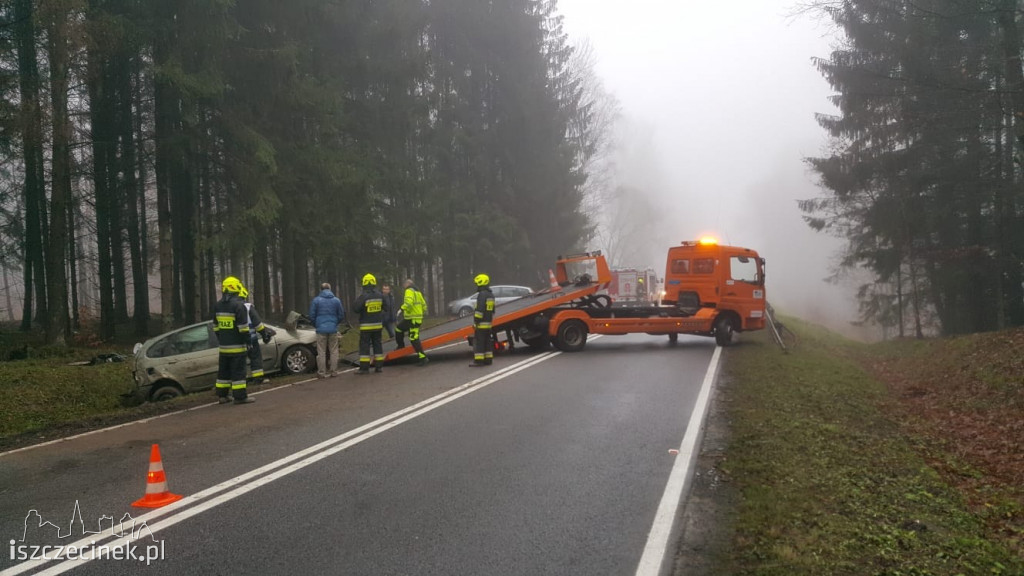 Chciał ominąć zwierzynę, wjechał do rowu i dachował