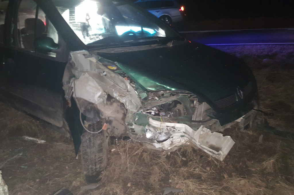Renault uderzył w drzewo. Kierowca oddalił się z miejsca