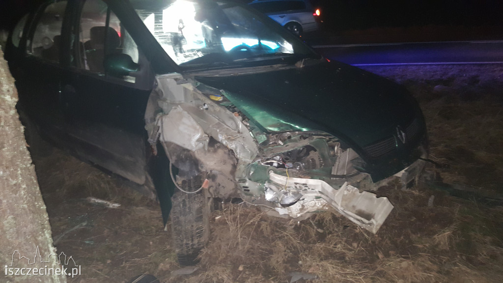 Renault uderzył w drzewo. Kierowca oddalił się z miejsca