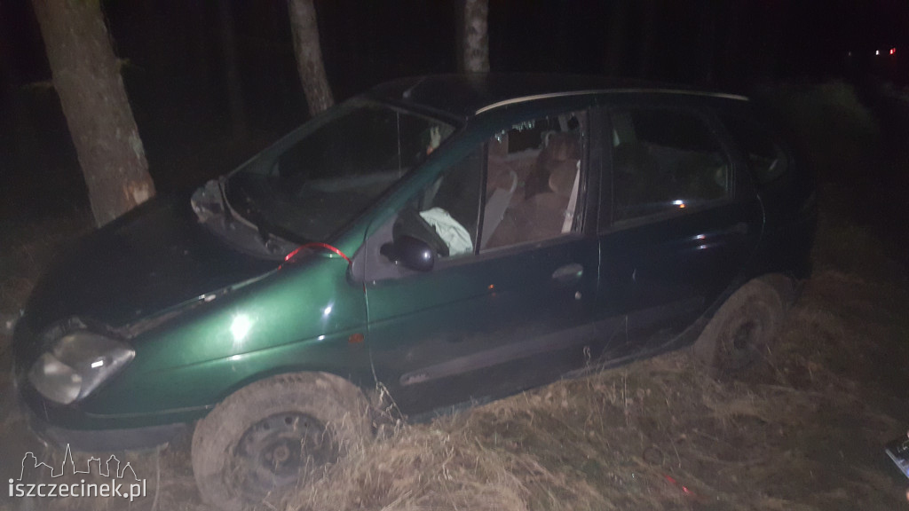 Renault uderzył w drzewo. Kierowca oddalił się z miejsca